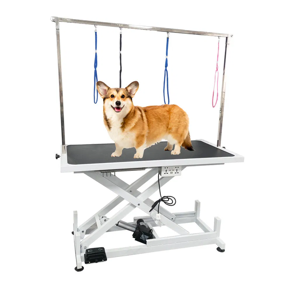 Veterinar